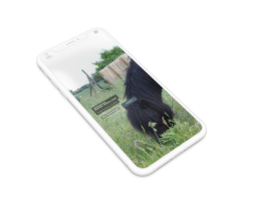 Website voor hipptherapeute Hippofeeling uit Deerlijk